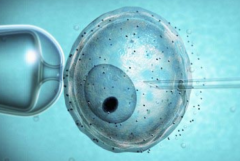 2026年去福州做三代试管助孕大概要花多少钱？各项收费明细全览