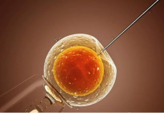 2026陕西省试管助孕没结婚证也能做？延安大学附属医院能做吗？