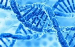 福建福州试管婴儿包成功医院是不是骗人的？