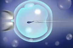 2026深圳三代试管助孕包成功可信吗？操作流程与注意事项