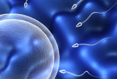 2026年无结婚证想做试管厦门市第一医院可以申请吗?