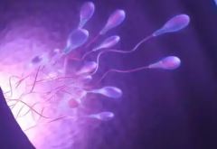 2026年在山西太原做三代试管婴儿助孕一般要花多少钱？费用清单详细列