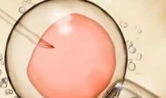 未婚人士可以在长沙妇女儿童医院做试管吗？附最新费用与成功率数据