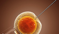 国外私立医院试管包成功可信度究竟如何？