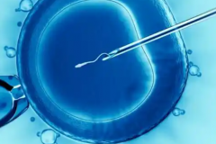 2026年在连云港做试管婴儿技术的总费用是多少？费用明细都有哪几项？