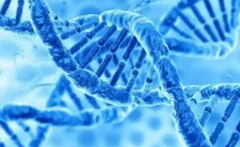 宁夏做第三代试管婴儿的费用是多少，所有明细加起来5-10万