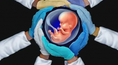 2026年安徽省第三代试管婴儿花销，完整价格表发布