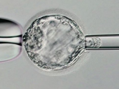 杭州市宣称试管包一次成功的私立医院可信吗？