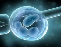 湖北省助孕生子机构参考 2026年襄阳市助孕生子详细的步骤