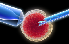 茂名做试管婴儿助孕生孩子多少钱？费用构成都有哪些？