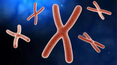 2026年漳州做试管婴儿第三代准备费用十万够吗？附上超全明细表