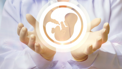 兰州市地区较大的助孕中介机构排名，排行前五名单公布