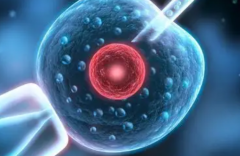 温州做第三代试管婴儿多少钱？2026年一次手术费用约4-8万