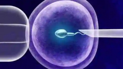 2026年石家庄做第三代试管婴儿助孕大概要花多少钱（8-15万早做准备）