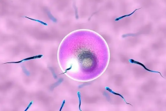 浙江省单身人士选择浙江省台州医院做试管成功率高不高？