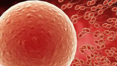 宿州做试管婴儿助孕生孩子多少钱？费用构成一览