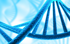 友情提醒：武汉市三代试管婴儿包成功需警惕这些陷阱