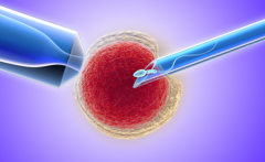 更新：2026年呼和浩特做三代试管婴儿报价多少公布
