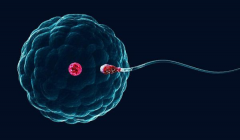 郴州做三代试管婴儿一般需要多少钱呢？明细标准及影响因素一文说清