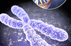 2026年攀枝花做三代试管婴儿费用详解，一次手术花8-10万