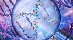 泰国试管婴儿包干价格，套餐内具体包含哪些助孕服务？