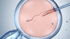 温州中山医院接受无结婚证试管婴儿申请吗？费用及成功率一览表