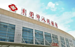 东莞市助孕公司排名 2026东莞十大正规助孕机构推荐