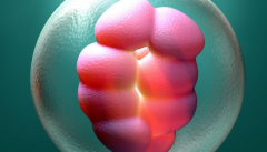 去哈萨克斯坦做第三代试管婴儿能包成功么？