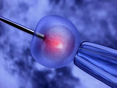 南昌市做三代试管婴儿总共要花多少钱？费用明细公开