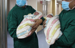 单身群体能不能在洛阳妇幼做试管？2026费用及成功率详解