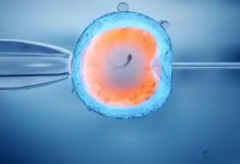 西安市做第三代试管助孕成功价格分享，最低也要15万元