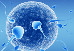 2026深圳三代试管助孕费用汇总表！附详细价格清单给你参考