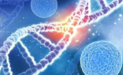 2026年未婚人士如何在湖北省做试管？黄冈市中心医院可不可以做？