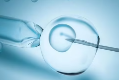 2026广东省广州第三代试管婴儿费用全面介绍：附详细费用表与医院推荐