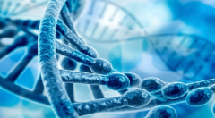 2026年金华第三代试管婴儿费用明细：价格范围与支出构成