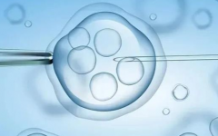 高成功率陷阱？四川省成都市试管包成套餐避坑指南