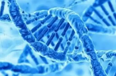 2026年成都第三代试管婴儿手术费用全面剖析：具体价格一览