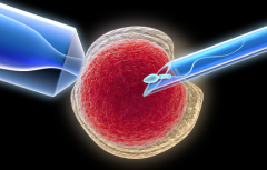 孝感做第三代试管婴儿的费用大概要多少钱，明细标准如下