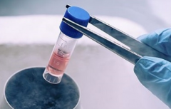 2026武汉各大助孕机构试管婴儿费用和服务清单