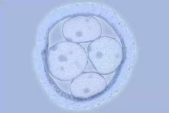 2026武汉各大助孕机构试管婴儿费用和服务清单发布