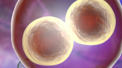 湖南试管助孕生孩子一般要花多少费用，费用详情+避坑提醒全解析