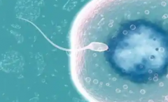 浙江省宁波市助孕公司是哪三家？排名前三的机构名单