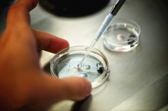 昆明做试管婴儿哪家私立医院相对比较好，十大排名最新推荐