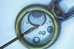 2026年在全国做三代试管包成功有保障吗？附上医院信息