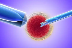 2026柬埔寨三代试管助孕费用大概多少钱？2026总费用详细清单