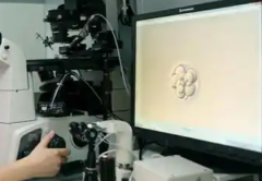 浙江助孕中介公司排名前五位公布，附嘉兴市助孕机构完整排名信息