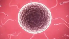 2026年喀什第一人民医院允许单身人士做试管吗？