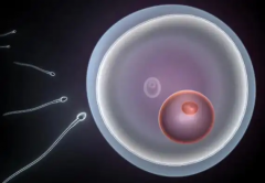 杭州试管助孕费用清单：哪家机构能做试管三代？附各医院收费详情