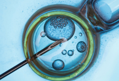 泉州试管婴儿费用大概要多少钱（五大项目一览）必看攻略