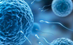 海口单身女性在海南菁华医院做试管婴儿成功率有多高？